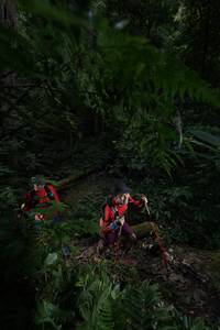 BIB: 
                            <button type="button" onclick="openModal(16029810)" class="btn btn-primary btn-sm float-right btn-popup" data-toggle="modal" data-target=".modal-high-quality">
                        <i class="fas fa-shopping-cart"></i> Add to Cart
                    </button>
                                            <button type="button" onclick="isThisMe(16029810, true)" class="btn btn-success btn-sm float-right btn-popup btn-isme hidden" data-toggle="tooltip" data-placement="bottom" title="นี่คือรูปของคุณใช่ไหม คลิกที่นี่เพื่อเอาเข้าอัลบั้ม">
                        <i class="fas fa-plus"></i> Add to album
                    </button>
                    <button type="button" onclick="isThisMe(16029810, false)" class="btn btn-warning btn-sm float-right btn-popup btn-isnotme hidden">
                        <i class="fas fa-ban"></i> Remove from album
                    </button>